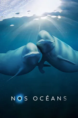 Our Oceans Poster