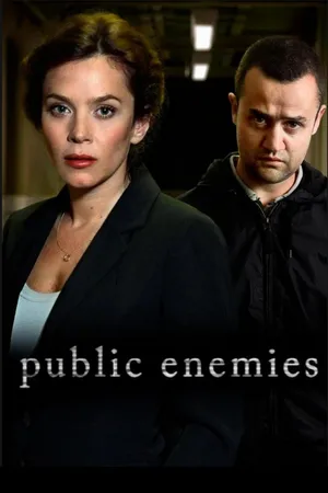 Public Enemies Poster