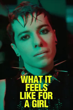 What It Feels Like for A Girl Poster