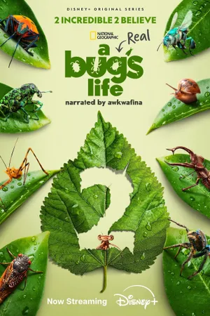 A Real Bug's Life Poster