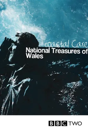 National Treasures of Wales Poster