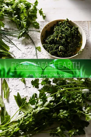 Food Safari Earth Poster