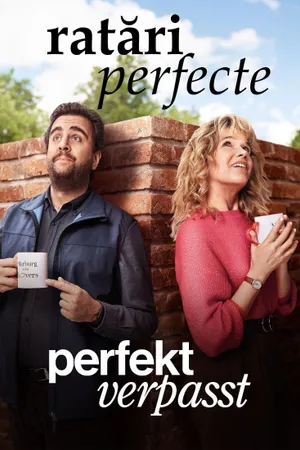 The Perfect Miss Poster