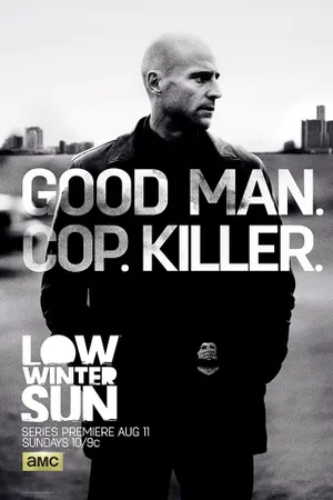 Low Winter Sun Poster