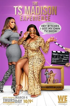The TS Madison Experience Poster