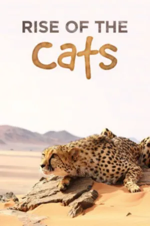 Cats: An Amazing Animal Family Poster