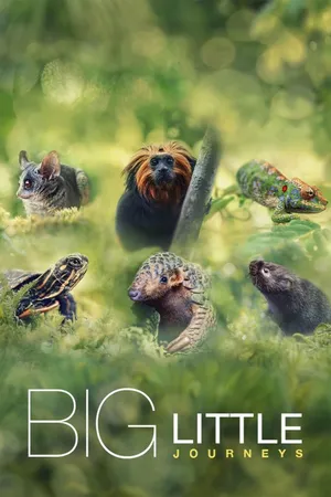 Big Little Journeys Poster