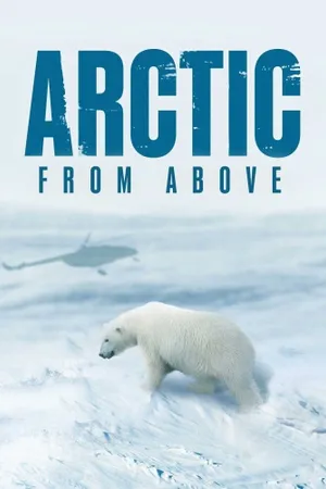 Arctic From Above Poster