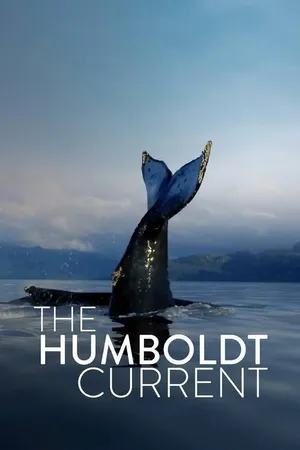 The Humboldt Current Poster