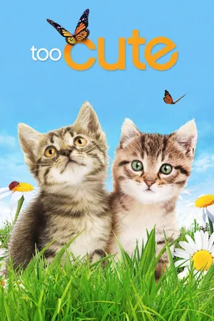 Too Cute Poster