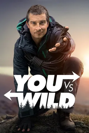 You vs. Wild Poster