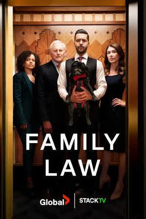 Family Law Poster