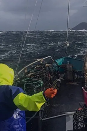 Aussie Lobster Men Poster