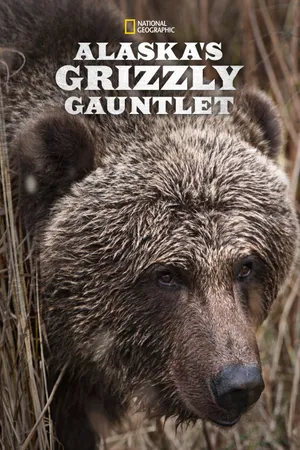 Alaska's Grizzly Gauntlet Poster