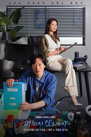 On the Verge of Insanity Poster