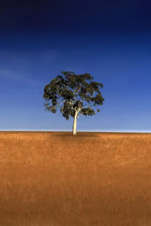 Who Do You Think You Are? Poster