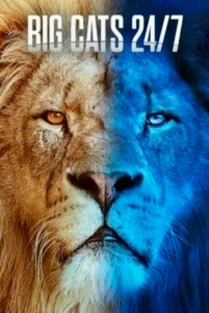 Big Cats 24/7 Poster