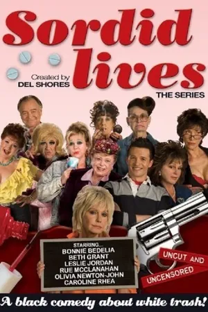 Sordid Lives: The Series Poster