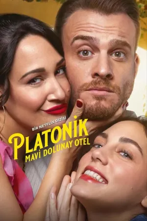 Platonic Poster