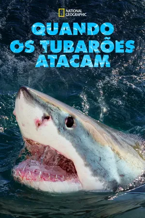 When Sharks Attack Poster
