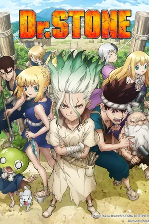 Dr. STONE