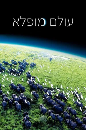 Planet Earth Poster