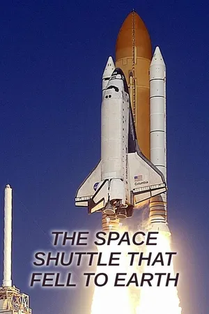 The Space Shuttle That Fell to Earth Poster