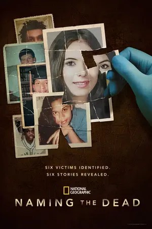 Naming the Dead Poster