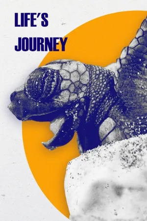 Life's Journey Poster