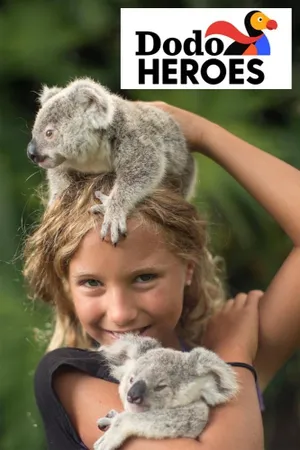 Dodo Heroes Poster