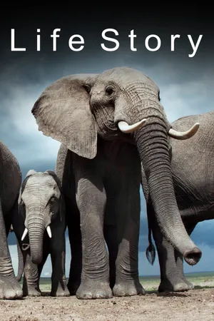 Life Story Poster