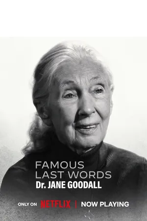 Famous Last Words Poster