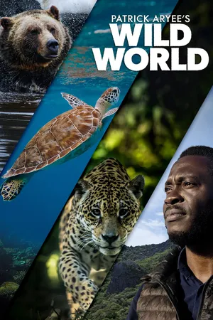 Patrick Aryee's Wild World Poster
