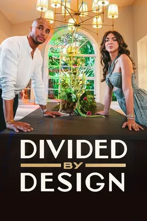 Divided by Design Poster