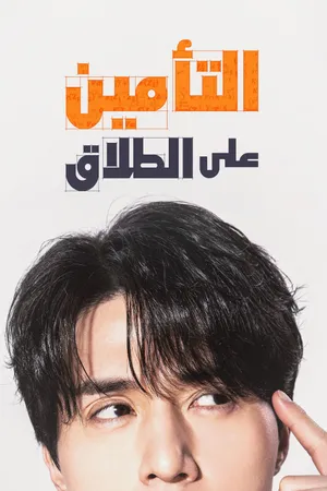 The Divorce Insurance Poster