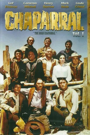 The High Chaparral Poster