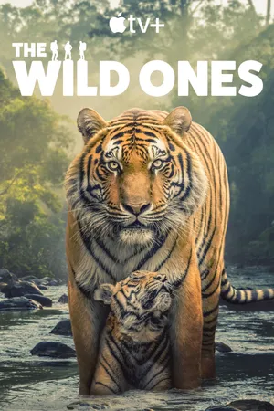 The Wild Ones Poster