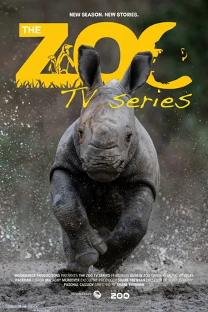 The Zoo (Ireland) Poster