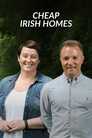 Cheap Irish Homes Poster