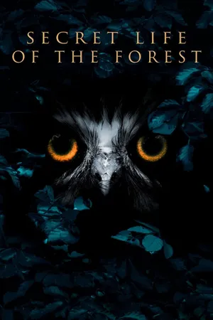 Inside the Forest: Seasons of Wonder Poster
