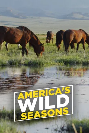 America's Wild Seasons Poster