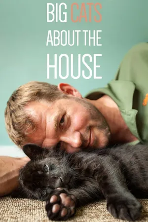 Big Cats About The House Poster