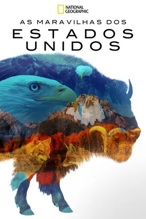 America the Beautiful Poster