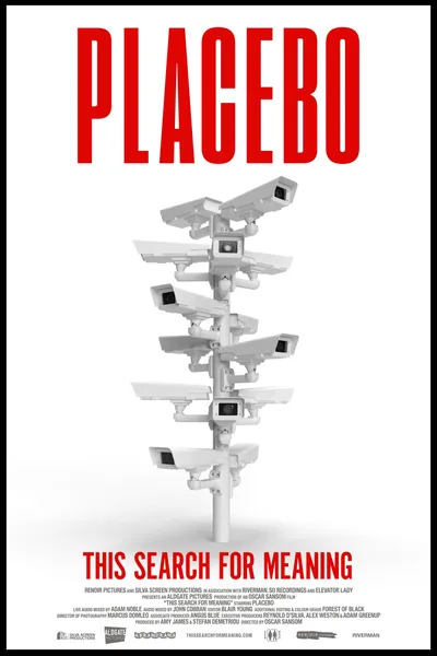 This Search for Meaning