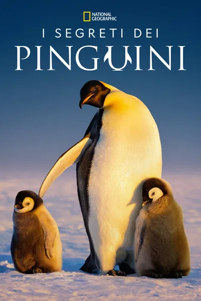 Secrets of the Penguins
