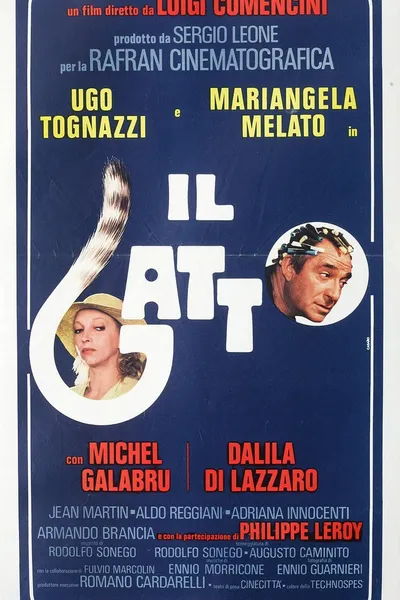 Il gatto